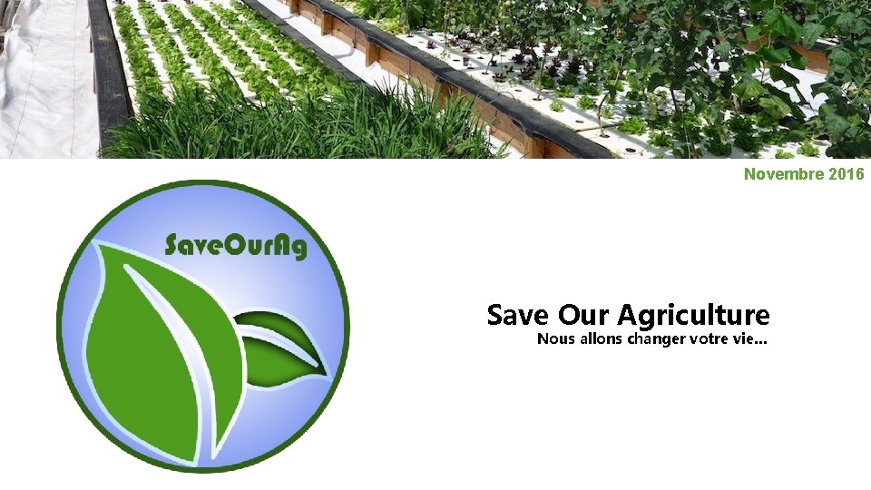 Novembre 2016 Save Our Agriculture Nous allons changer votre vie… 