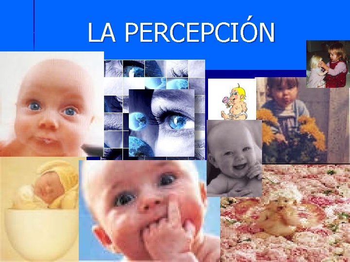 LA PERCEPCIÓN 