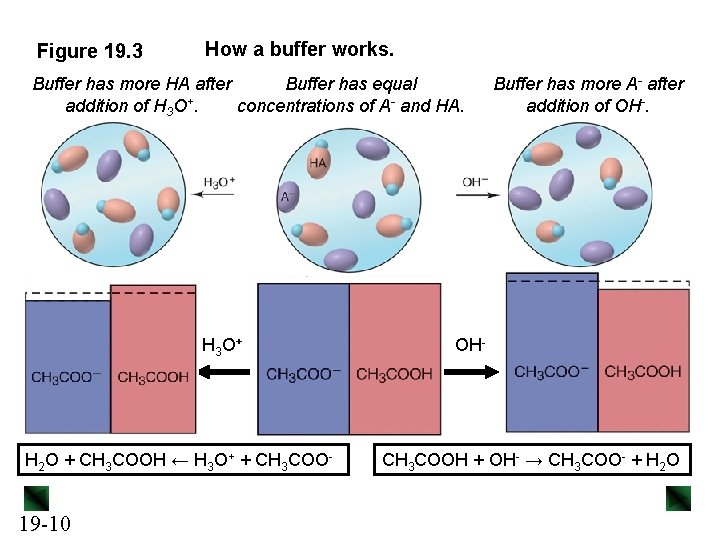 Figure 19. 3 How a buffer works. Buffer has more HA after Buffer has