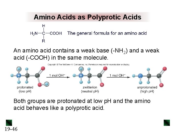 Amino Acids as Polyprotic Acids An amino acid contains a weak base (-NH 2)