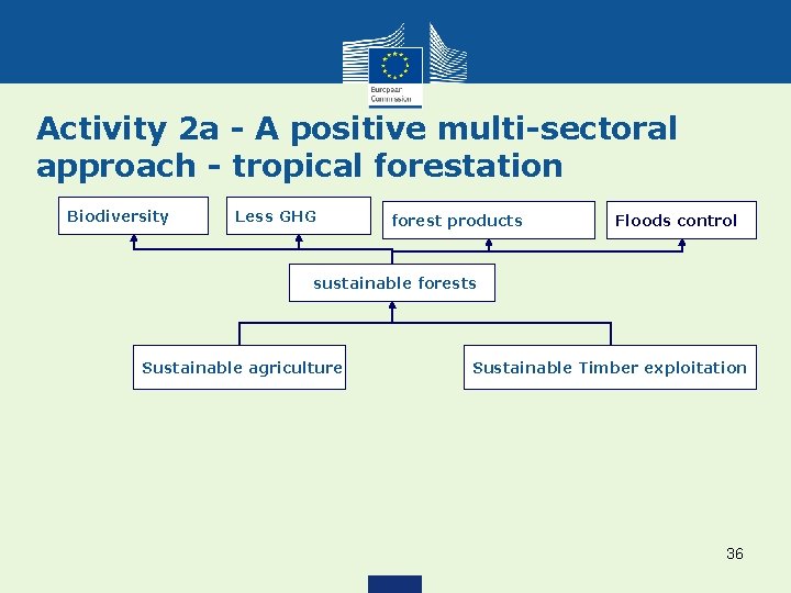 Activity 2 a - A positive multi-sectoral approach - tropical forestation Biodiversity Less GHG