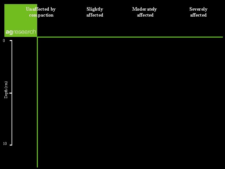 Unaffected by compaction Depth (cm) 0 10 Slightly affected Moderately affected Severely affected 