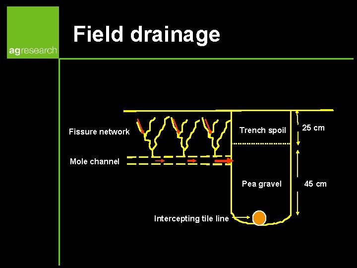Field drainage Fissure network Trench spoil 25 cm Pea gravel 45 cm Mole channel