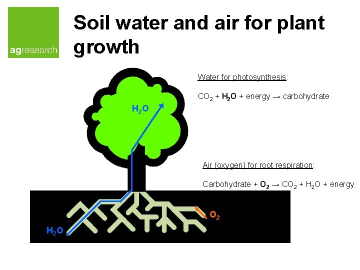 Soil water and air for plant growth Water for photosynthesis: CO 2 + H