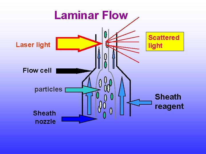 Laminar Flow Laser light Scattered light Flow cell particles Sheath nozzle Sheath reagent 