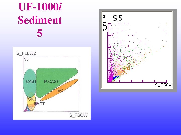 UF-1000 i Sediment 5 