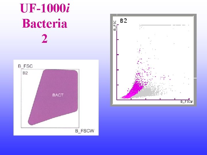 UF-1000 i Bacteria 2 