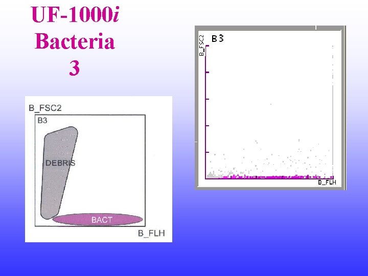 UF-1000 i Bacteria 3 