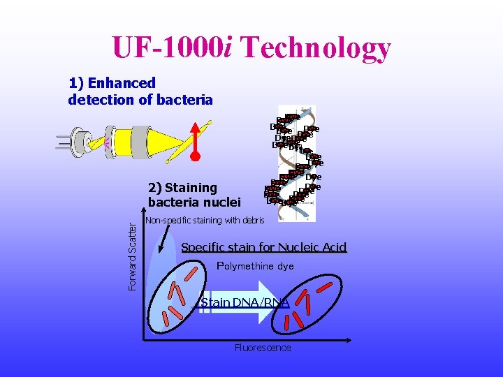 UF-1000 i Technology 1) Enhanced detection of bacteria Dye Dye Forward Scatter 2) Staining