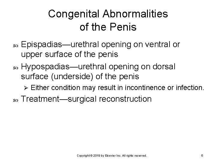 Chapter 19 Reproductive System Disorders Copyright 2019 by