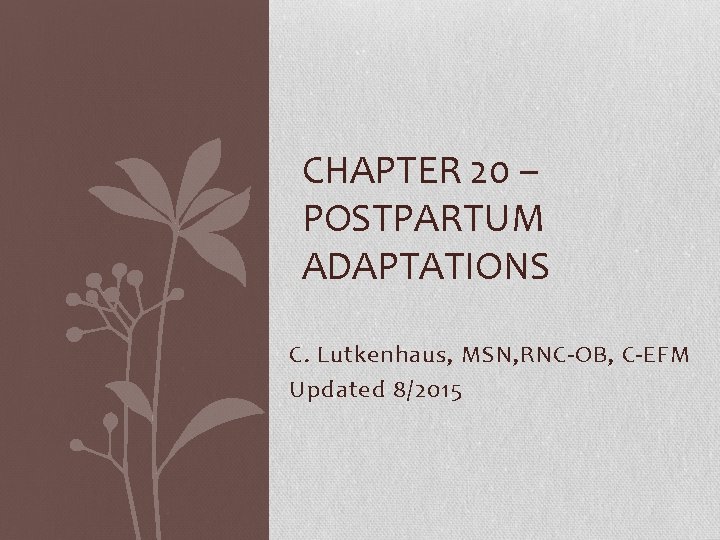 CHAPTER 20 – POSTPARTUM ADAPTATIONS C. Lutkenhaus, MSN, RNC-OB, C-EFM Updated 8/2015 