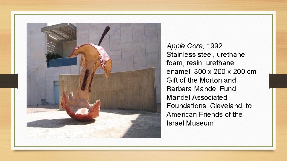 Apple Core, 1992 Stainless steel, urethane foam, resin, urethane enamel, 300 x 200 cm