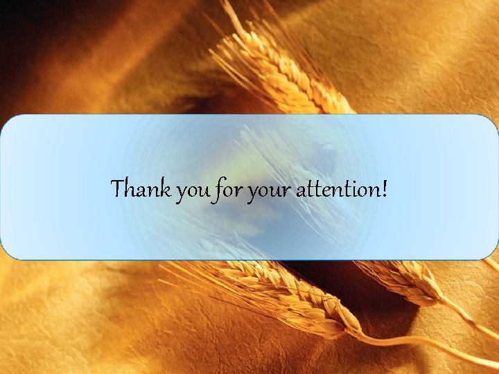 Thank you for your attention! 