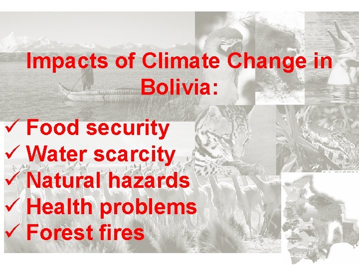 Impacts of Climate Change in Bolivia: ü Food security ü Water scarcity ü Natural