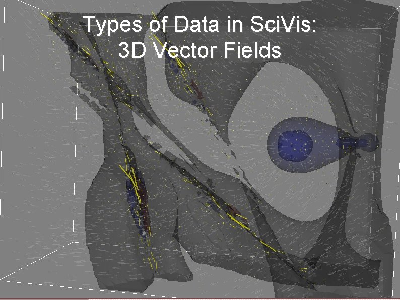 Types of Data in Sci. Vis: 3 D Vector Fields 