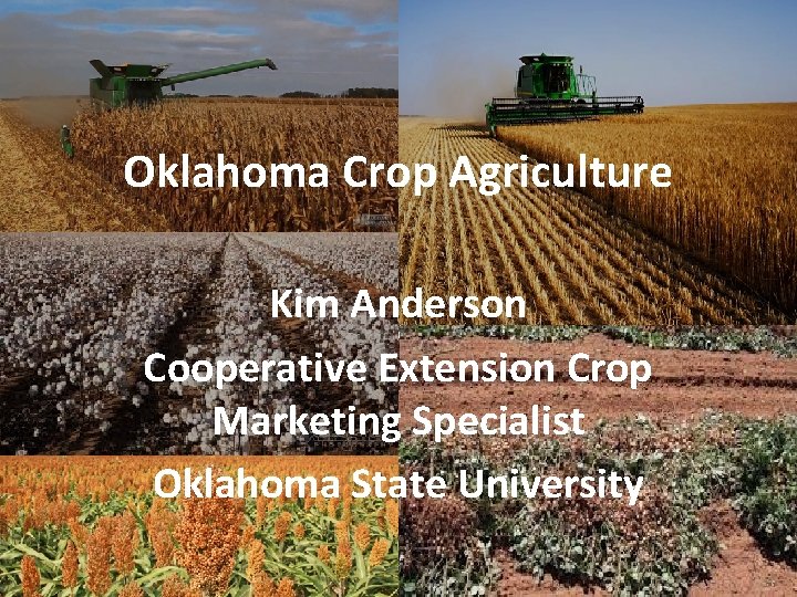 Oklahoma Crop Agriculture Kim Anderson Cooperative Extension Crop Marketing Specialist Oklahoma State University 