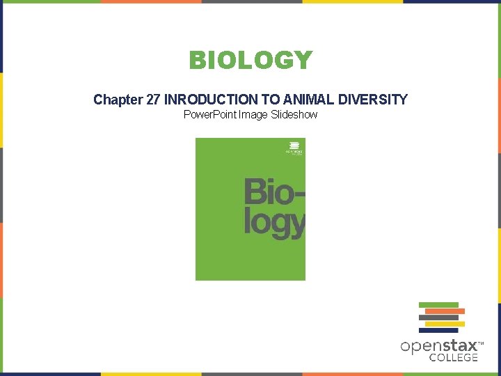 BIOLOGY Chapter 27 INRODUCTION TO ANIMAL DIVERSITY Power. Point Image Slideshow 