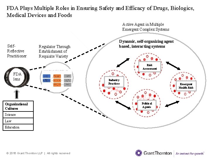 FDA Plays Multiple Roles in Ensuring Safety and Efficacy of Drugs, Biologics, Medical Devices FDA Plays Multiple Roles in Ensuring Safety and Efficacy of Drugs, Biologics, Medical Devices