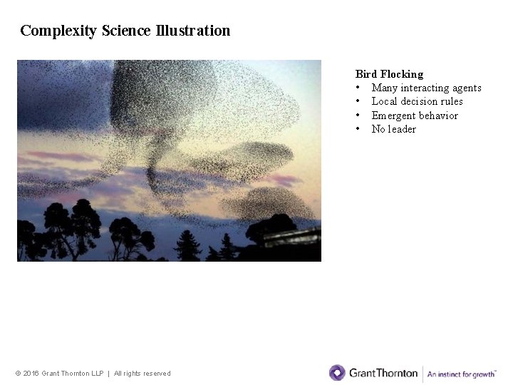 Complexity Science Illustration Bird Flocking • Many interacting agents • Local decision rules • Complexity Science Illustration Bird Flocking • Many interacting agents • Local decision rules •
