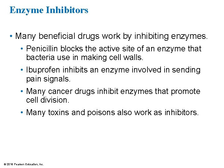 Enzyme Inhibitors • Many beneficial drugs work by inhibiting enzymes. • Penicillin blocks the
