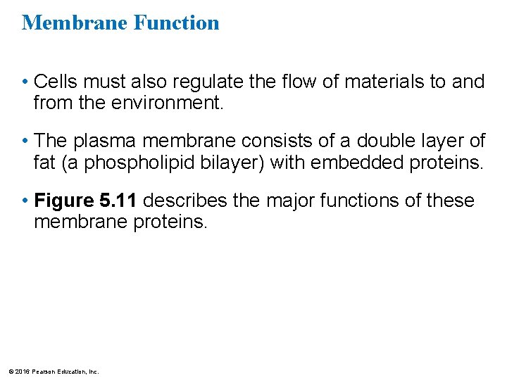 Membrane Function • Cells must also regulate the flow of materials to and from