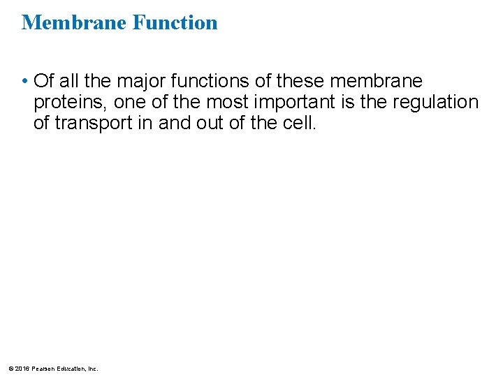 Membrane Function • Of all the major functions of these membrane proteins, one of