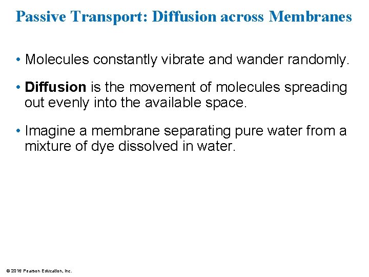 Passive Transport: Diffusion across Membranes • Molecules constantly vibrate and wander randomly. • Diffusion