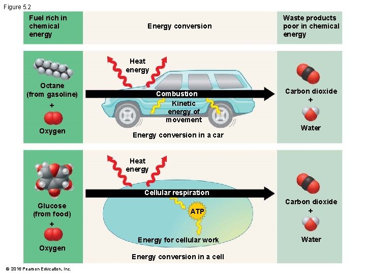 Figure 5. 2 Fuel rich in chemical energy Energy conversion Waste products poor in