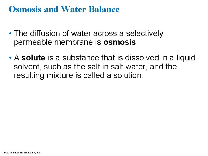 Osmosis and Water Balance • The diffusion of water across a selectively permeable membrane