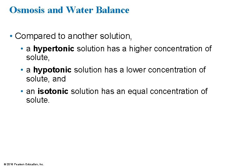 Osmosis and Water Balance • Compared to another solution, • a hypertonic solution has