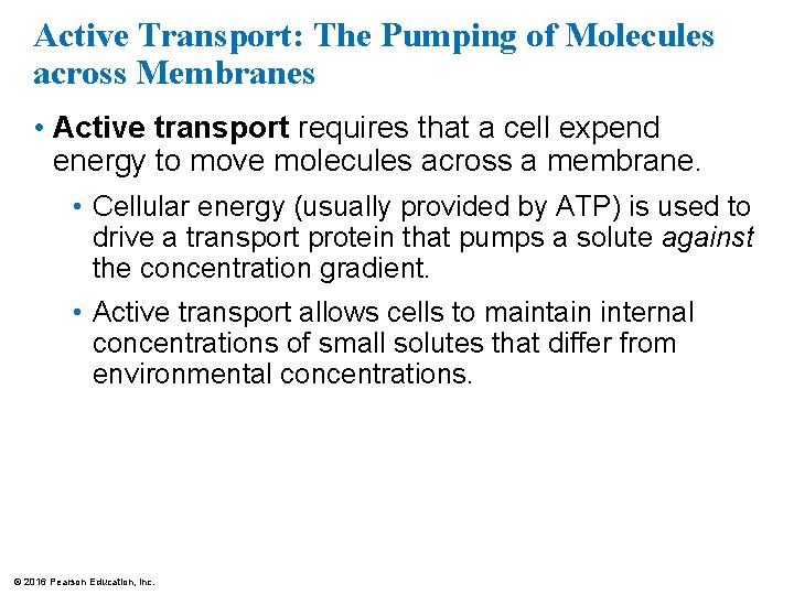 Active Transport: The Pumping of Molecules across Membranes • Active transport requires that a