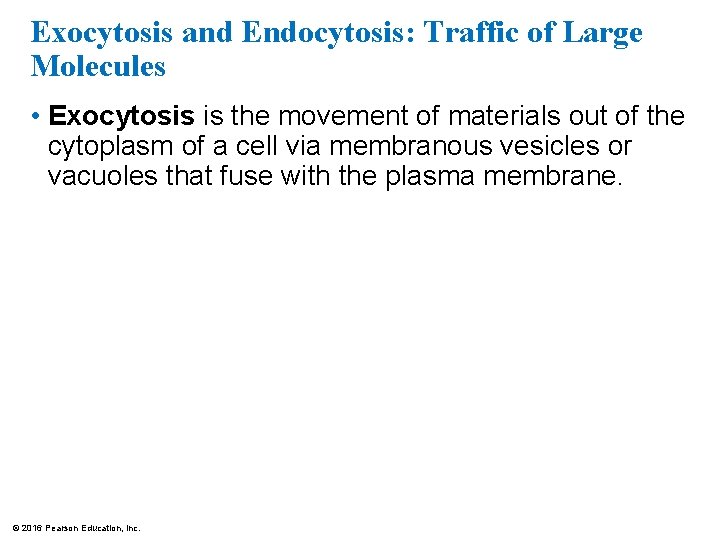 Exocytosis and Endocytosis: Traffic of Large Molecules • Exocytosis is the movement of materials