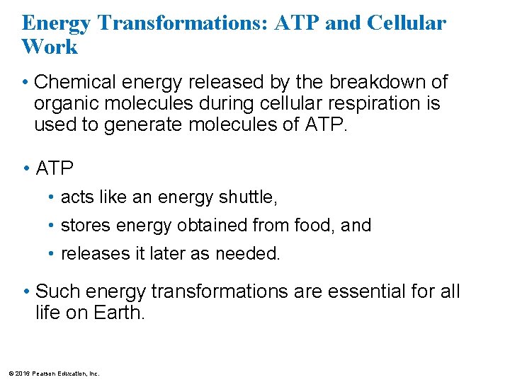 Energy Transformations: ATP and Cellular Work • Chemical energy released by the breakdown of