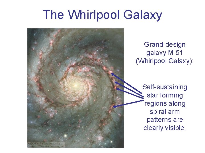 The Whirlpool Galaxy Grand-design galaxy M 51 (Whirlpool Galaxy): Self-sustaining star forming regions along