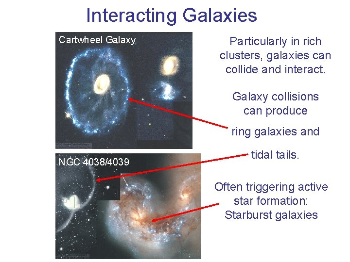 Interacting Galaxies Cartwheel Galaxy Particularly in rich clusters, galaxies can collide and interact. Galaxy