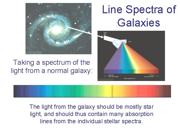 Line Spectra of Galaxies Taking a spectrum of the light from a normal galaxy: Line Spectra of Galaxies Taking a spectrum of the light from a normal galaxy: