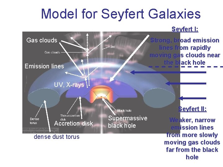 Model for Seyfert Galaxies Seyfert I: Gas clouds Strong, broad emission lines from rapidly