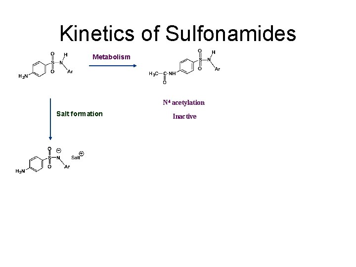 Kinetics of Sulfonamides Metabolism N 4 acetylation Salt formation Inactive 