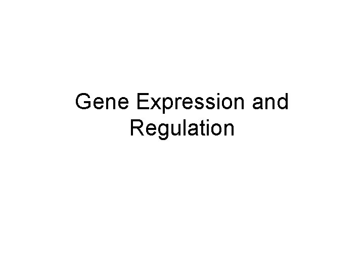 Gene Expression and Regulation 