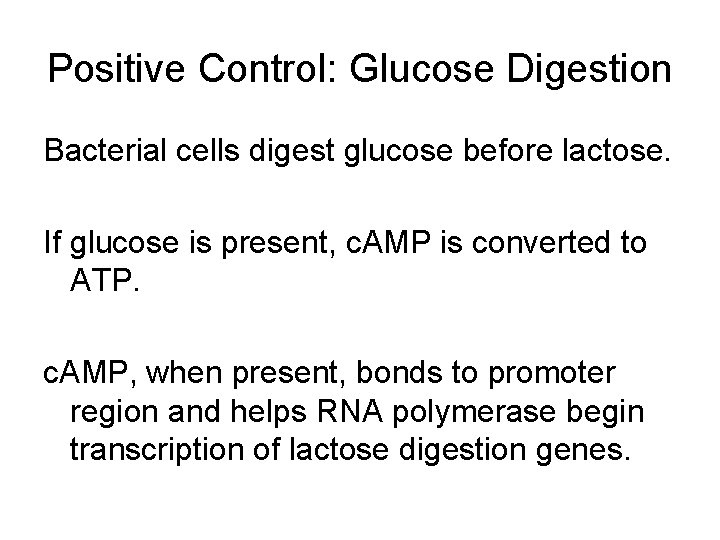 Positive Control: Glucose Digestion Bacterial cells digest glucose before lactose. If glucose is present,