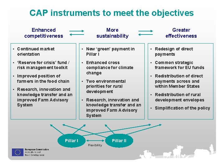 CAP instruments to meet the objectives Enhanced competitiveness More sustainability Greater effectiveness • Continued