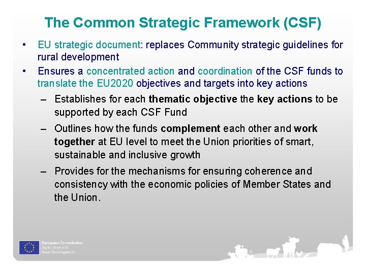 The Common Strategic Framework (CSF) • • EU strategic document: replaces Community strategic guidelines