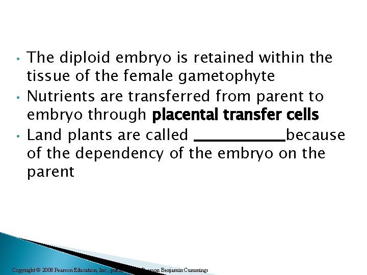  • • • The diploid embryo is retained within the tissue of the
