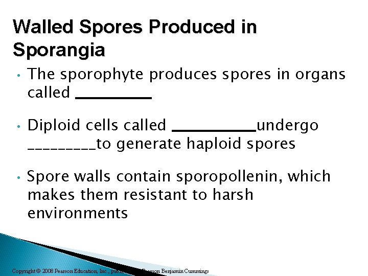 Walled Spores Produced in Sporangia • • • The sporophyte produces spores in organs