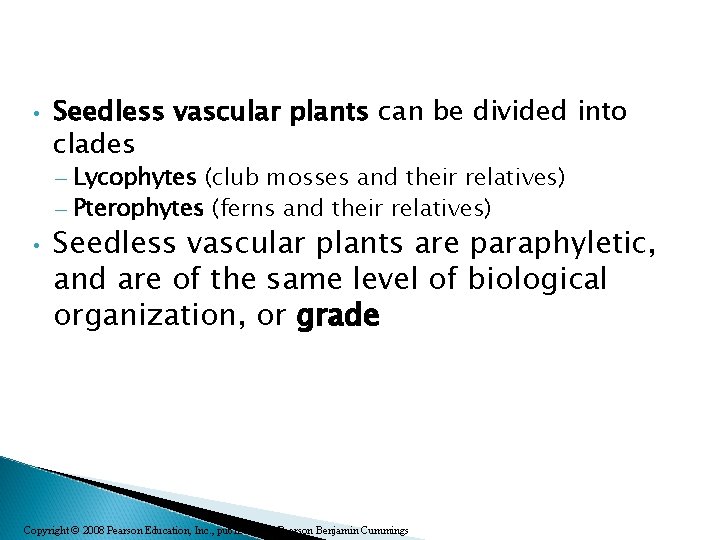  • Seedless vascular plants can be divided into clades – Lycophytes (club mosses