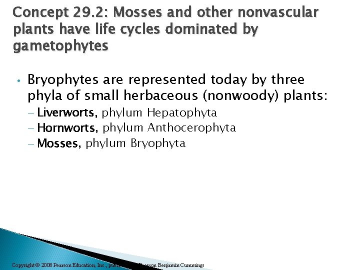 Concept 29. 2: Mosses and other nonvascular plants have life cycles dominated by gametophytes