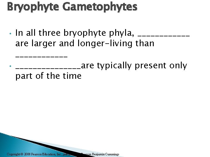 Bryophyte Gametophytes • • In all three bryophyte phyla, ______ are larger and longer-living