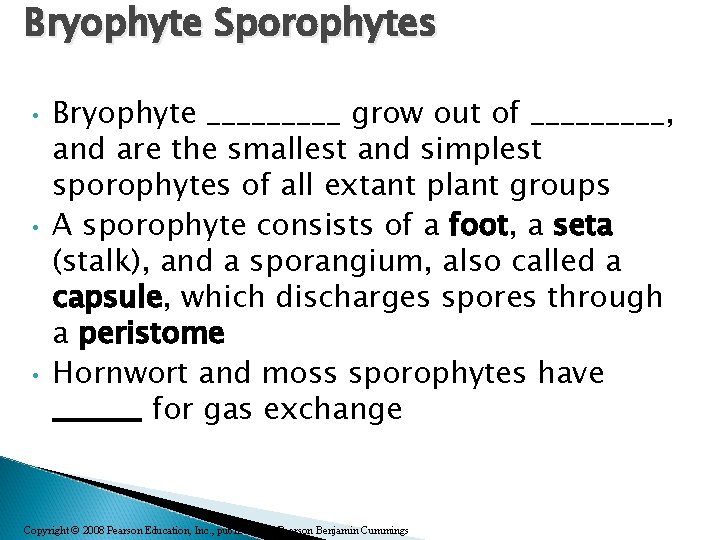 Bryophyte Sporophytes • • • Bryophyte _____ grow out of _____, and are the