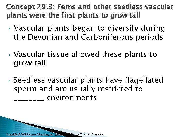 Concept 29. 3: Ferns and other seedless vascular plants were the first plants to