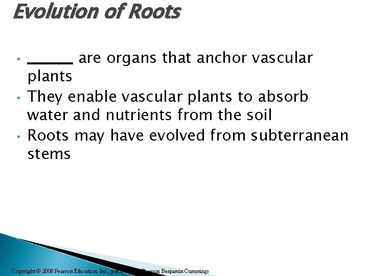 Evolution of Roots • • • ______ are organs that anchor vascular plants They